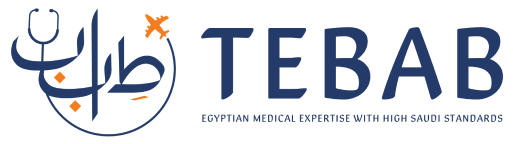 tebab logo En 1 1